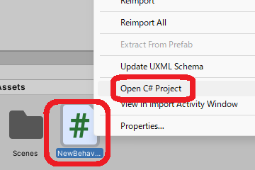 Open C# Project